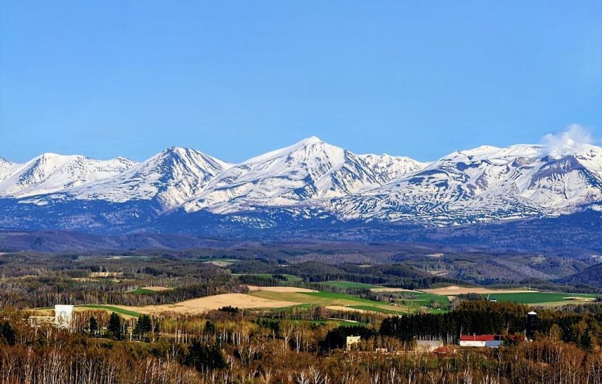 Bus tour du lịch Hokkaido khám phá Bie – Furano 1 ngày trọn vẹn (kèm ăn trưa)