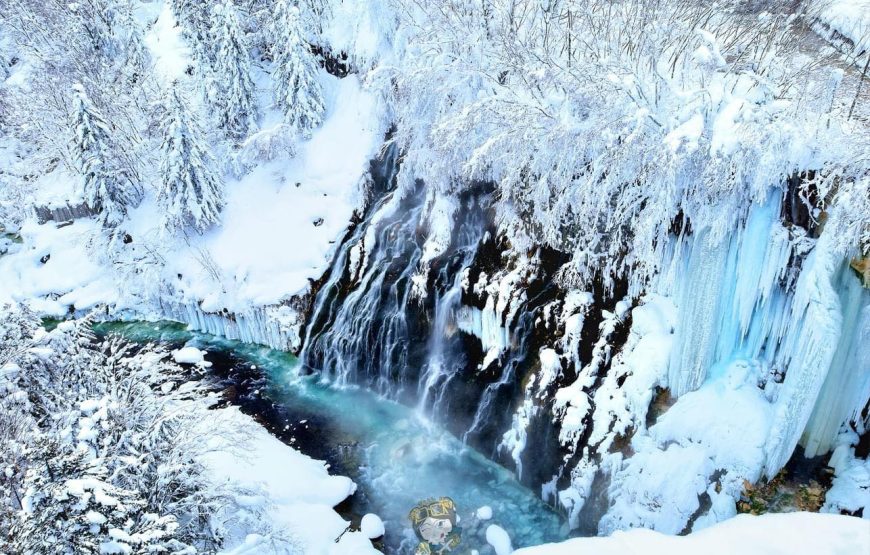 【Mùa đông】Bus tour du lịch Hokkaido khám phá hồ xanh – làng gỗ – Furano 1 ngày trọn vẹn (kèm ăn trưa) 1/12~31/1/2024