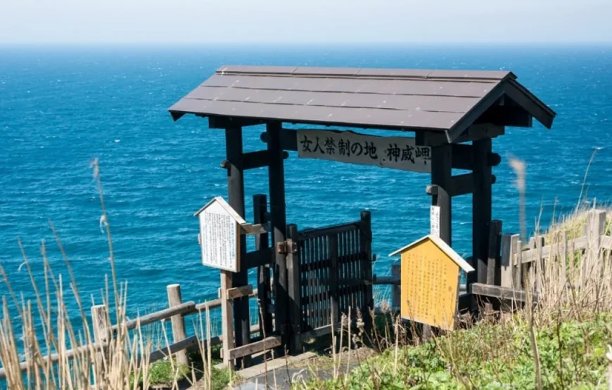 Tour mũi Kamui – Shakotan, kênh đào Otaru – công viên Shiroikoibito